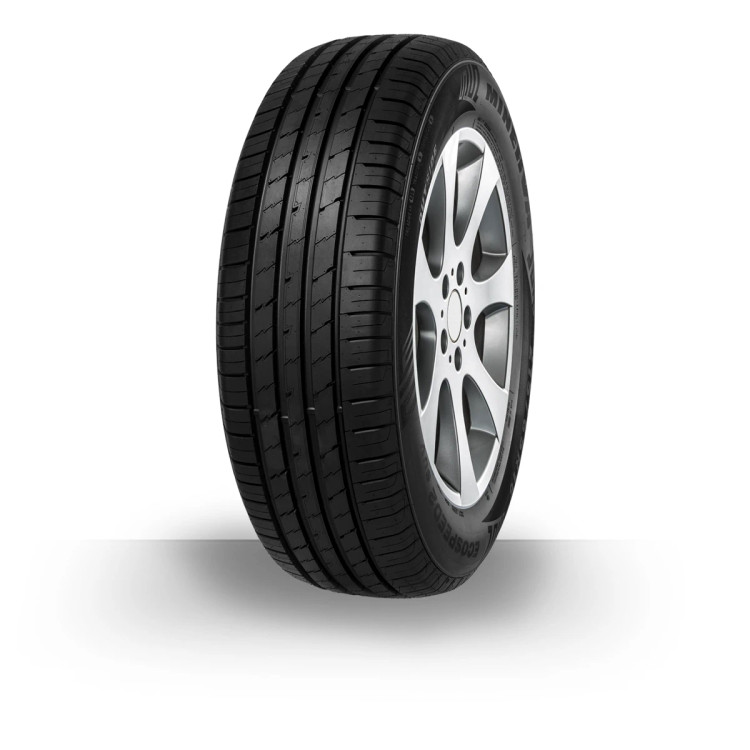 لاستیک خودرو مینروا سایز 225/60/17 گل ecospeed2